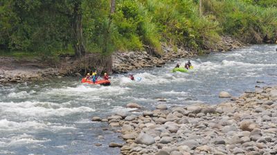 8-Day Costa Rica Eco-Adventure: Tortuguero, Arenal and Monteverde - Image - 11377