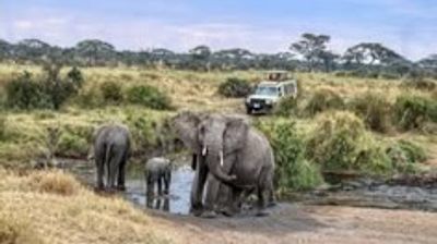 4-Day Private Xclusive Mid Range Safari to Wild Escape - Image - 21803