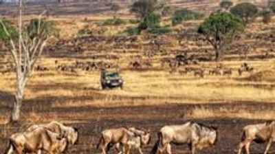 4-Day Private Xclusive Mid Range Safari to Wild Escape - Image - 21801