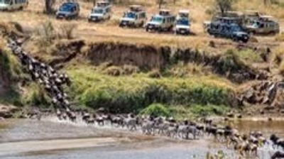 5-Day Serengeti Tarangire Ngorongoro and Lake Eyasi Tour - Image - 21823