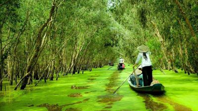 Tour Du Lịch Liên Tuyến Miền Tây - Tây Ninh 4N3Đ - Image - 25307