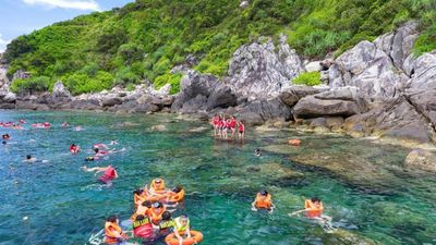 Cham Island Sightseeing & Snorkeling Tour, pick up at Danang or Hoian - Image - 19882