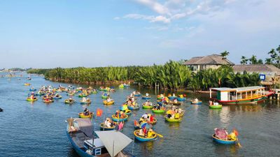 Tour khám phá rừng dừa 7 mẫu - Image - 6875
