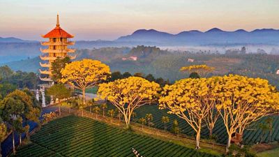 Tour Du Lịch Bảo Lộc – Thành Phố Sương Mù 2N1Đ | Team Building & Gala Dinner | Khách Sạn 4 Sao - Image - 25311
