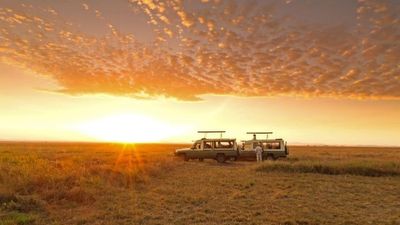 4-Day Nyerere and Mikumi National Parks- Mid Range Safari-Fly out - Image - 18048