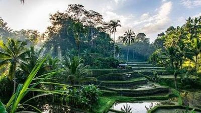 Tour Bali: Chèo thuyền vượt thác White Rafting - Núi lửa Kintamani - Đền Tirta Empul - Uluwatu - Image - 25503