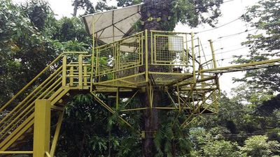 1-Day Subic: Zip Line Adventure and Tree Top Canopy Tour - Image - 9996