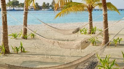 Maldives Island Hopping Escape - Local Island & 5 Star Resort | 7 Nights Full Board - Image - 17913