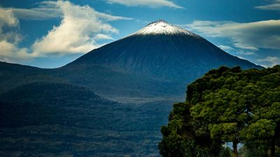 7 days Rwanda primates Safari adventure. - Image - 8558