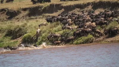 3-Day Maasai Mara Fly-in Safari from Nairobi - Image - 26595