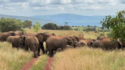 2 Days Akagera National Park Wildlife Safari - Image - 21791