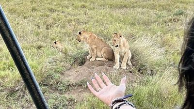 4-Day Short Safari with Guided Nature Walk Extension - Image - 20631