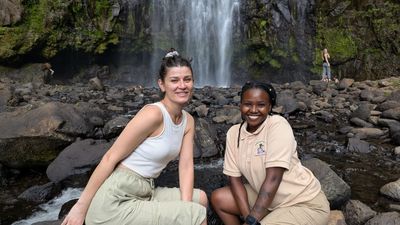 4-Day Fly-in Safari Serengeti, Ngorongoro & Coffee Tour - Image - 21746