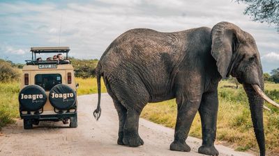 3-Day Lake Manyara, Tarangire and Ngorongoro Tour - Image - 22013