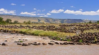 4 days Masai Mara Lake Nakuru Safari: Experience Serenity and Adventure - Image - 19187