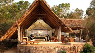 8-Day Southern Tanzania Safari Expedition – Nyerere, Ruaha & Mikumi Wilderness Adventure - Image - 18030