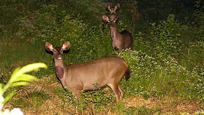 Discover Cat Tien National Park 2 Days 1 Night - Image - 18850
