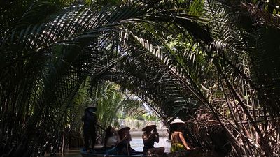Mekong Delta Day Trip Small Group: Bike Through Local Villages - Image - 21011