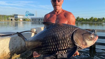 Wild Mekong Barramundi Fishing Tour - Image - 25866
