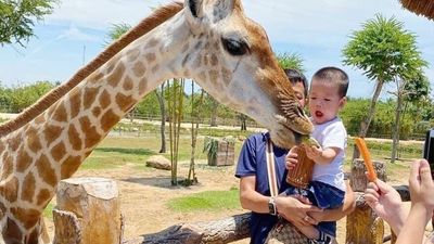 Vinwonders Nam Hoi An Full-Day Tour - Image - 12786