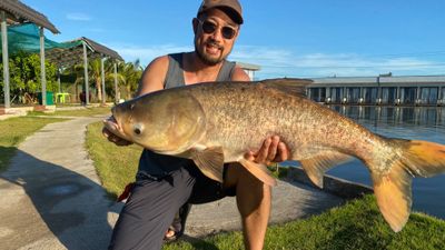 GIANT MONSTER FISHING TOUR (01 DAY) - Image - 25855