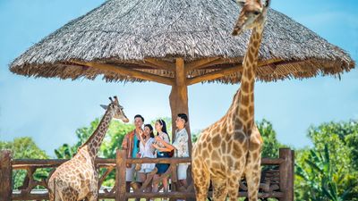 Vinwonders Nam Hoi An Full-Day Tour - Image - 12790