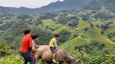 HANOI – SAPA – CATCAT – FANSIPAN – MOANA CHECKIN POINT – HANOI (3 DAYS - 2 NIGHTS) - Image - 13936