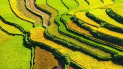HANOI – SAPA – CATCAT – FANSIPAN – MOANA CHECKIN POINT – HANOI (3 DAYS - 2 NIGHTS) - Image - 13945