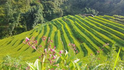 HANOI – SAPA – CATCAT – FANSIPAN – MOANA CHECKIN POINT – HANOI (3 DAYS - 2 NIGHTS) - Image - 13944