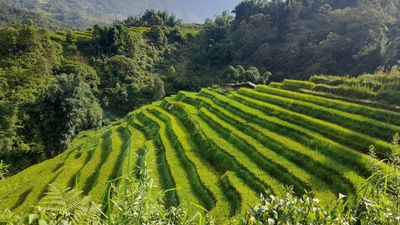 HANOI – SAPA – CATCAT – FANSIPAN – MOANA CHECKIN POINT – HANOI (3 DAYS - 2 NIGHTS) - Image - 13942