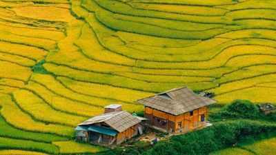 HANOI – SAPA – CATCAT – FANSIPAN – MOANA CHECKIN POINT – HANOI (3 DAYS - 2 NIGHTS) - Image - 13954