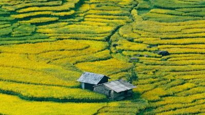 HANOI – SAPA – CATCAT – FANSIPAN – MOANA CHECKIN POINT – HANOI (3 DAYS - 2 NIGHTS) - Image - 13953
