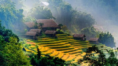HANOI – CAT CAT VILLAGE (MOANA VIEW) – FANSIPAN PEAK – HANOI (2 DAYS – 1 NIGHT) - Image - 13990