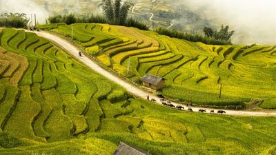 HANOI – CAT CAT VILLAGE (MOANA VIEW) – FANSIPAN PEAK – HANOI (2 DAYS – 1 NIGHT) - Image - 13992