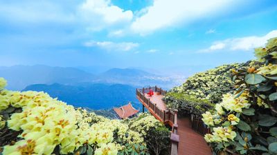 HANOI – SAPA – CATCAT – FANSIPAN – MOANA CHECKIN POINT – HANOI (3 DAYS - 2 NIGHTS) - Image - 13971