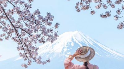 TOKYO – NÚI PHÚ SĨ – NAGOYA – KYOTO – OSAKA 6N5Đ BAY VNA - Image - 14510