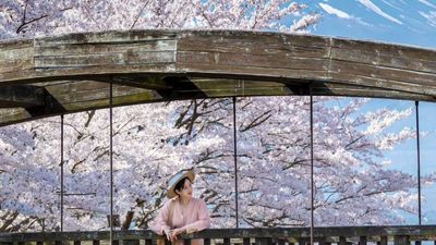 TOKYO – NÚI PHÚ SĨ – NAGOYA – KYOTO – OSAKA 6N5Đ BAY VNA - Image - 14507