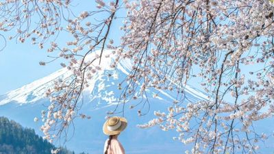 TOKYO – NÚI PHÚ SĨ – NAGOYA – KYOTO – OSAKA 6N5Đ BAY VNA - Image - 14506