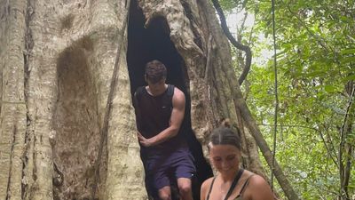 Discover Cat Tien National Park 2 Days 1 Night - Image - 18853