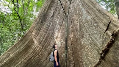 Discover Cat Tien National Park 2 Days 1 Night - Image - 18852