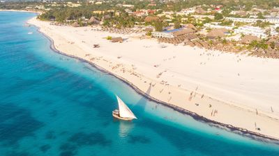 12 DAYS TANZANIA WILDLIFE TO ZANZIBAR BEACH ESCAPE - Image - 7632