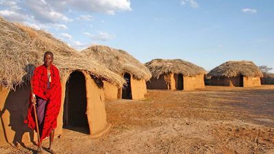 3-Day Mikumi Fly-In Safari Escape – Wildlife Adventure from Zanzibar - Image - 18297