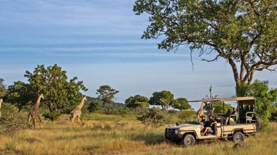 8-Day Southern Tanzania Safari Expedition – Nyerere, Ruaha & Mikumi Wilderness Adventure - Image - 18026