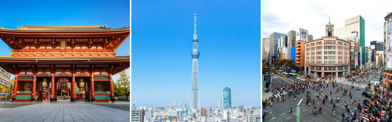 Japan Tour 5 Days 4 Nights: Yamanashi | Fuji | Tochigi | Tokyo | Narita