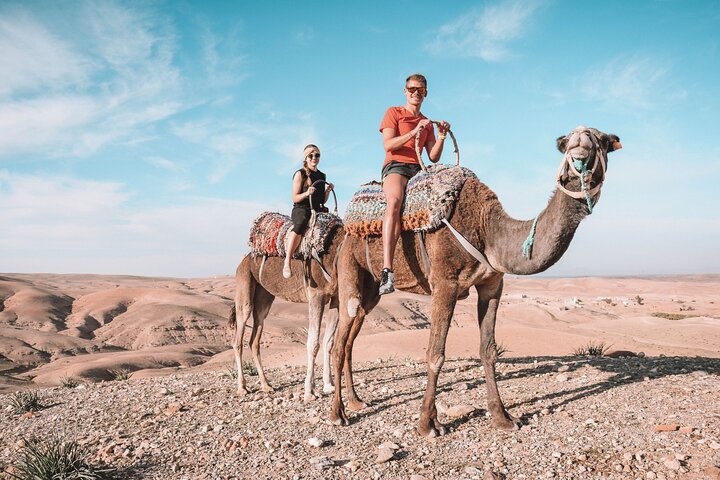 From Marrakech: Agafay Desert, Quad Tour, Camel Ride &amp; Dinner Show - Image - 3349