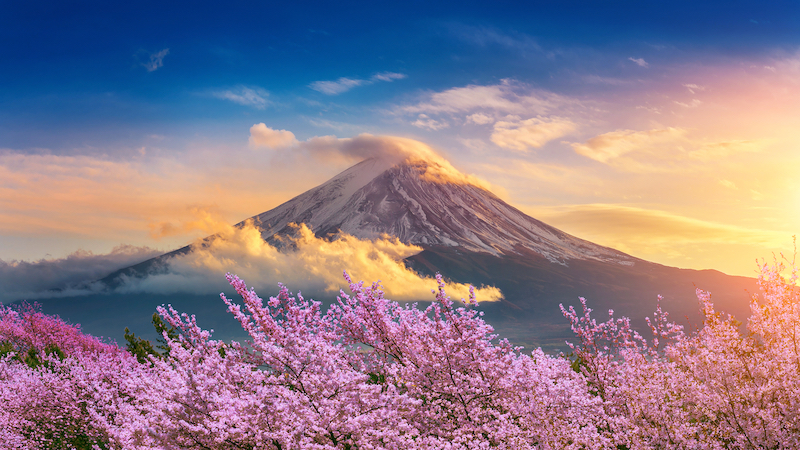 Hanoi - Osaka – Kobe – Kyoto– Fuji Mount – Skiing – Early Cherry Blossom – Tokyo – Hanoi