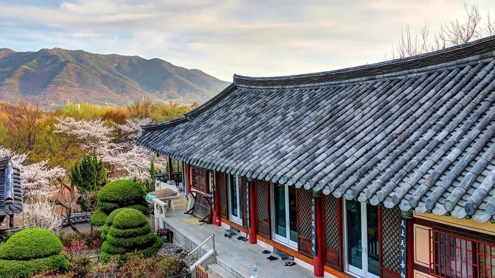 Templestay Busan - Gyeongju 5N4D - Image - 13730