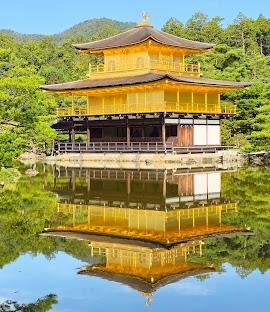 Ảnh 1 trong số 4