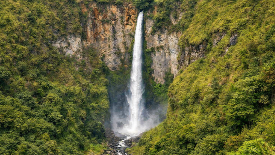 6D5N MEDAN-BUKIT LAWANG-LAKE TOBA TOUR - Image - 7423