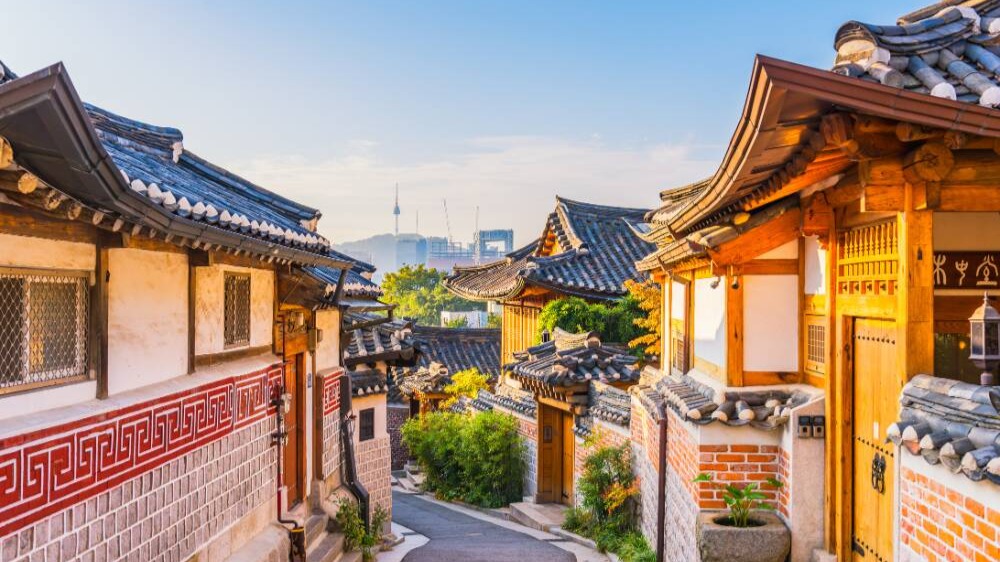 BUSAN - SEOUL - NAMI - NGẮM HẢI ÂU - Image - 14589